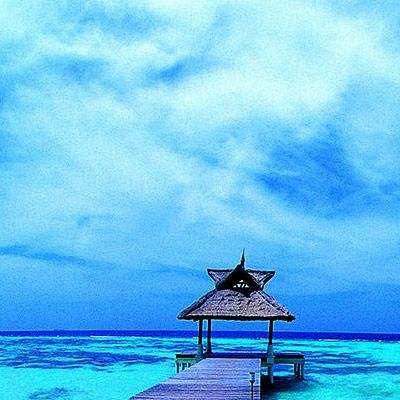 星力正版捕鱼下载手机版