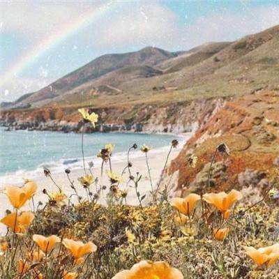 星空体育官方网站手机app下载