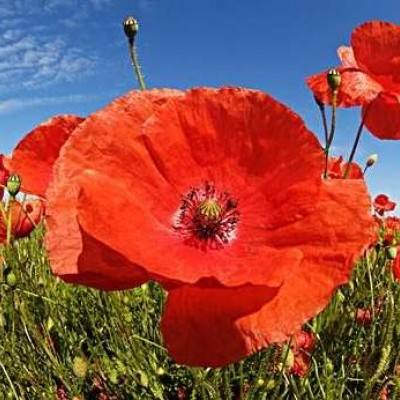 bet韦德官方网站