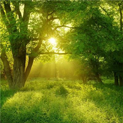 美高梅网址下载手机版